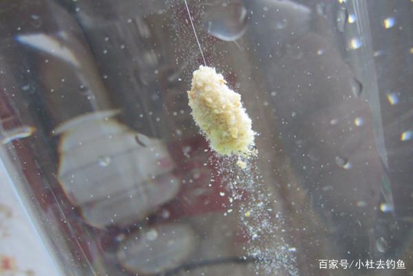钓鲢鳙鱼注意好这些细节，只要掌握好方法，实际操作不会差
