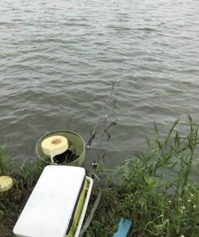 桃花流水鲫鱼肥，春季钓鲫鱼，学会这3个钓法，连杆到手软