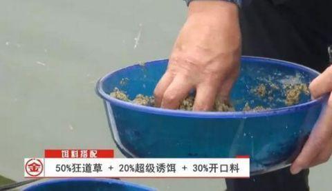 春季野钓草鱼、鲫鱼的饵料配饵公式