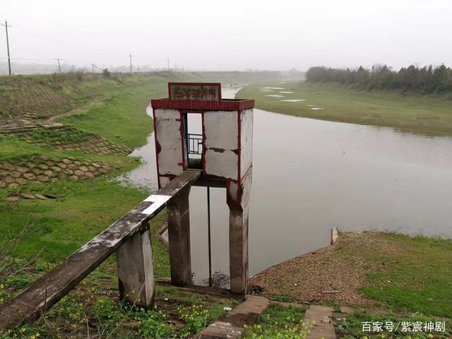 野钓青稍有哪些关键技巧？时间、钓点、饵料、钓法每一步都是细节