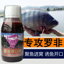 黑坑钓罗非用什么小药？钓罗非鱼推荐什么小药？