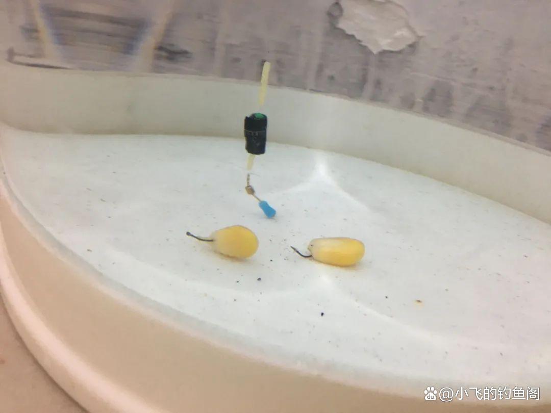 钓鲤鱼只学这2种调漂方法，不谈灵钝，能上鱼才是王道！