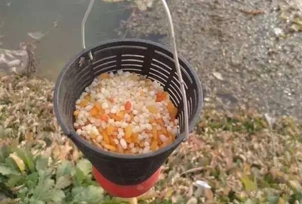 钓鲤鱼，只要掌握3大技巧，钓多少，你来定！