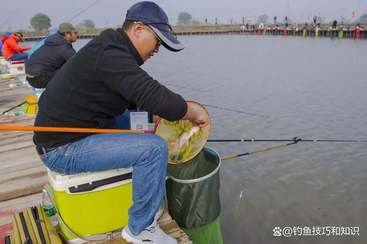 果酸在春季钓黑坑鲤鱼是否有用？果酸在钓黑坑鲤鱼时的作用和用法