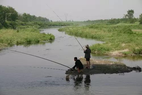 「钓鱼妙法」怎么钓鳊鱼