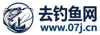 钓鱼网钓鱼视频钓鱼技巧